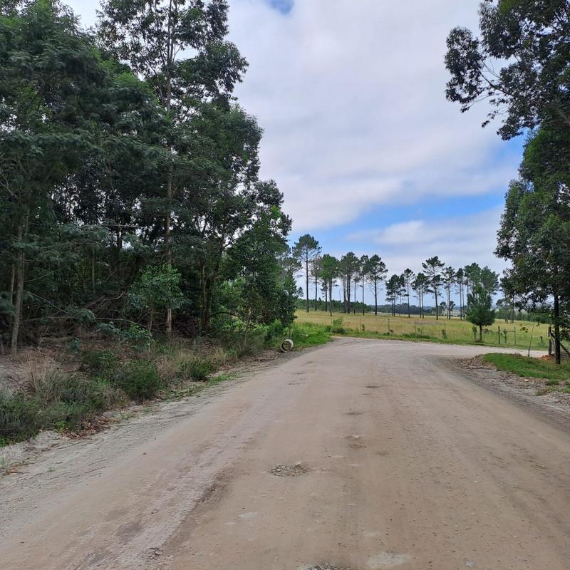 0 Bedroom Property for Sale in Van Stadens Eastern Cape